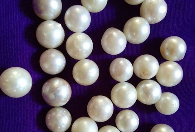 tempat wisata anak di Buleleng