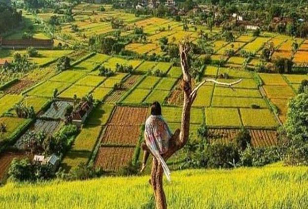 Tempat wisata di Klungkung paling indah