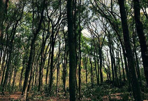 tempat hunting foto di Madura