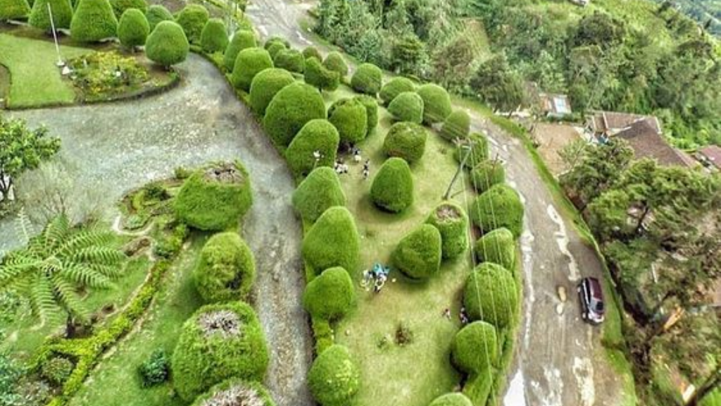 Tempat Wisata di Ciwidey: Surga Wisata Alam yang Perlu Kamu Kunjungi 5 Bukit Jamur Rancabolang