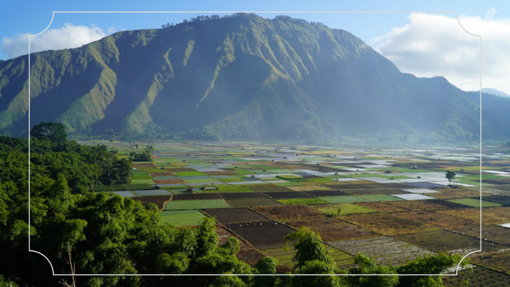 17 Tempat Liburan di Lombok yang Paling Menarik 18 Bukit Selong