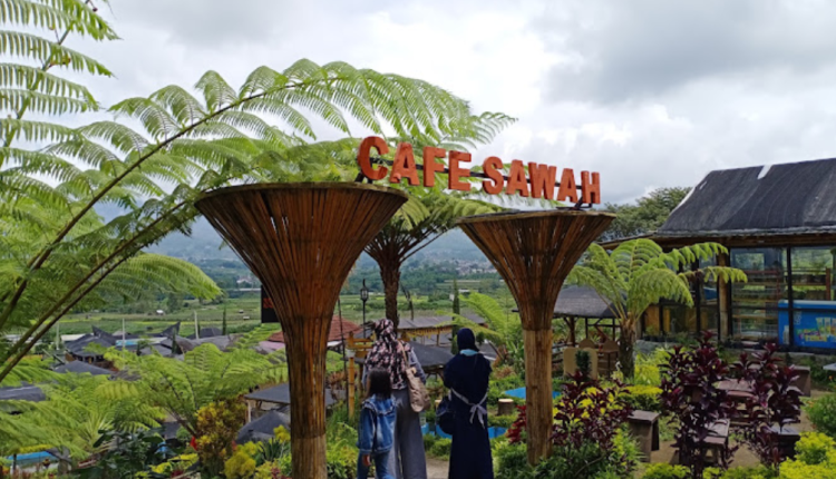 Cafe Sawah Pujon Kidul