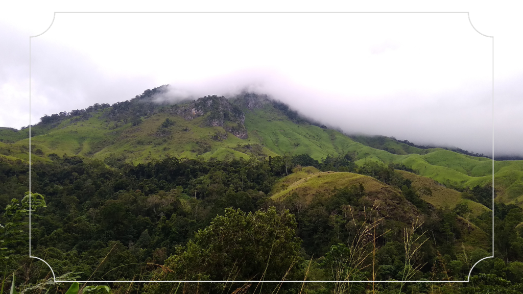 17 Tempat Wisata di Aceh yang Menakjubkan 9 Cagar Alam Jantho