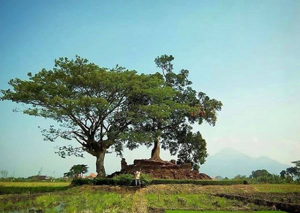 24 Tempat Wisata di Sidoarjo Terbaru 7 tempat wisata keluarga Sidoarjo
