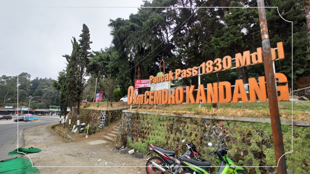 Rekomendasi Tempat Wisata di Tawangmangu yang Cocok untuk Semua Usia 6 Cemoro Kandang