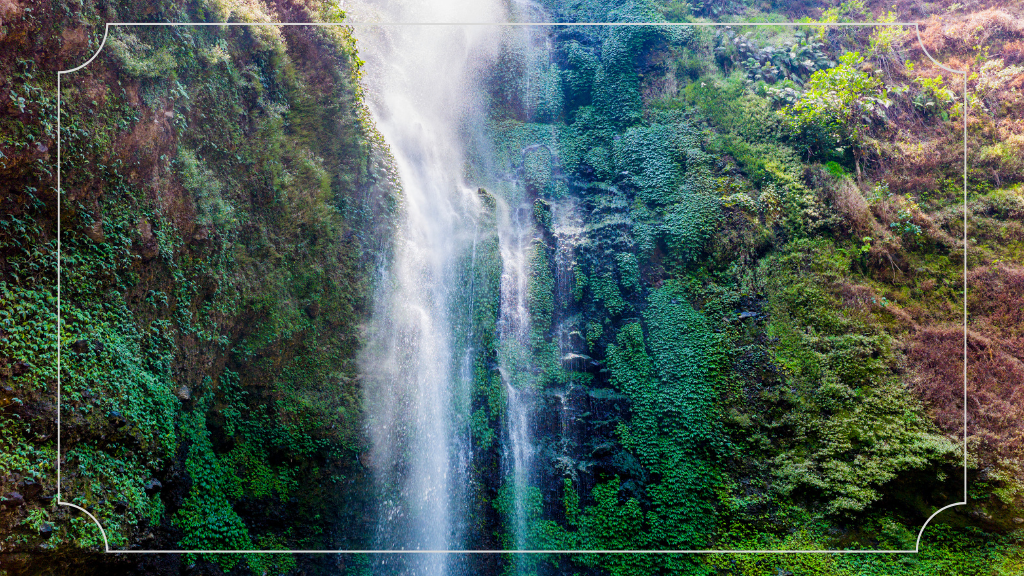 Coban Rondo Waterfall