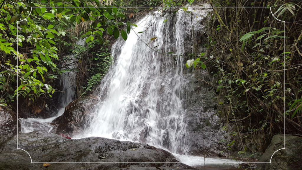 15 Tempat Wisata di Puncak Bogor untuk Liburan Keluarga Terbaik! 15 Curug Cilember