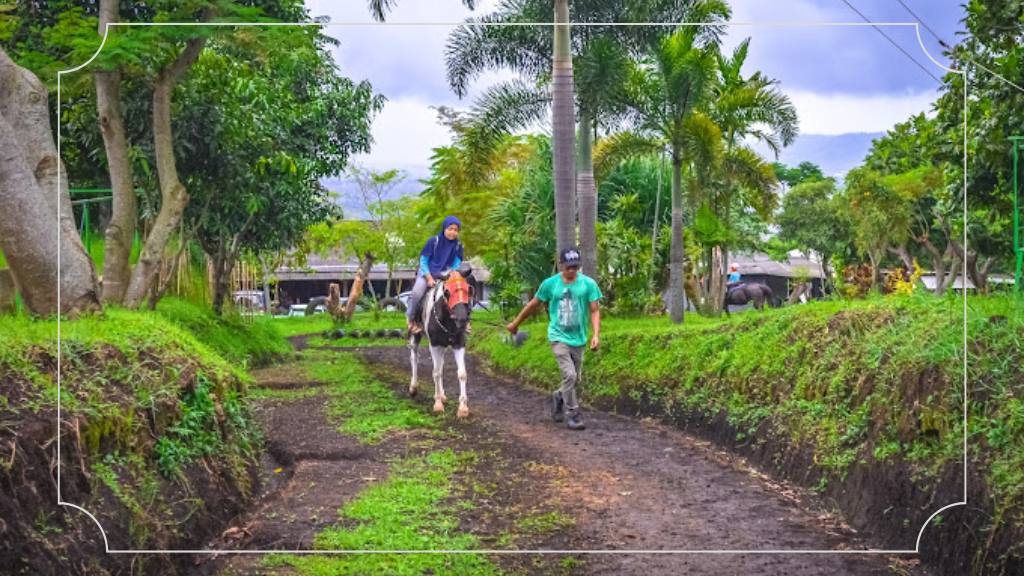 Wisata Kuda Paku Haji - Harga Tiket Masuk, Fasilitas & Daya Tarik 6 Daya Tarik