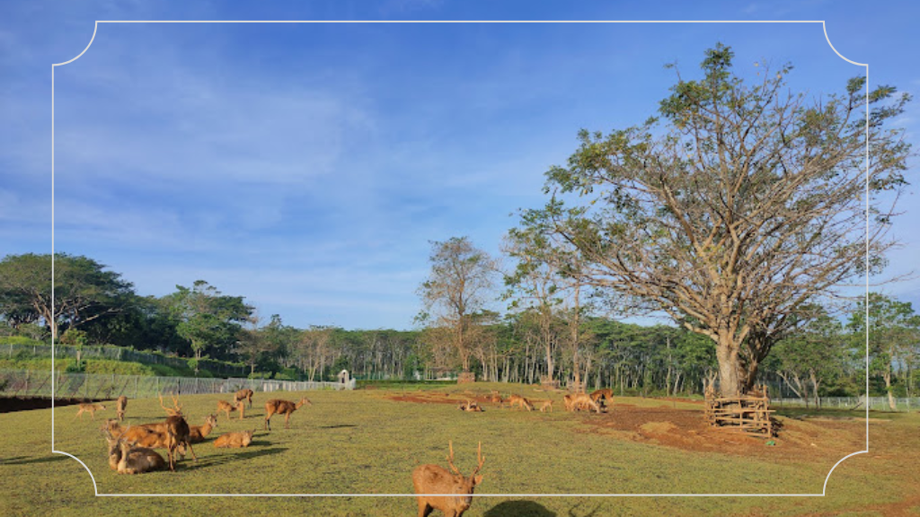 Danau BSB City Semarang - Jam Operasional & Fasilitas 6 Daya Tarik