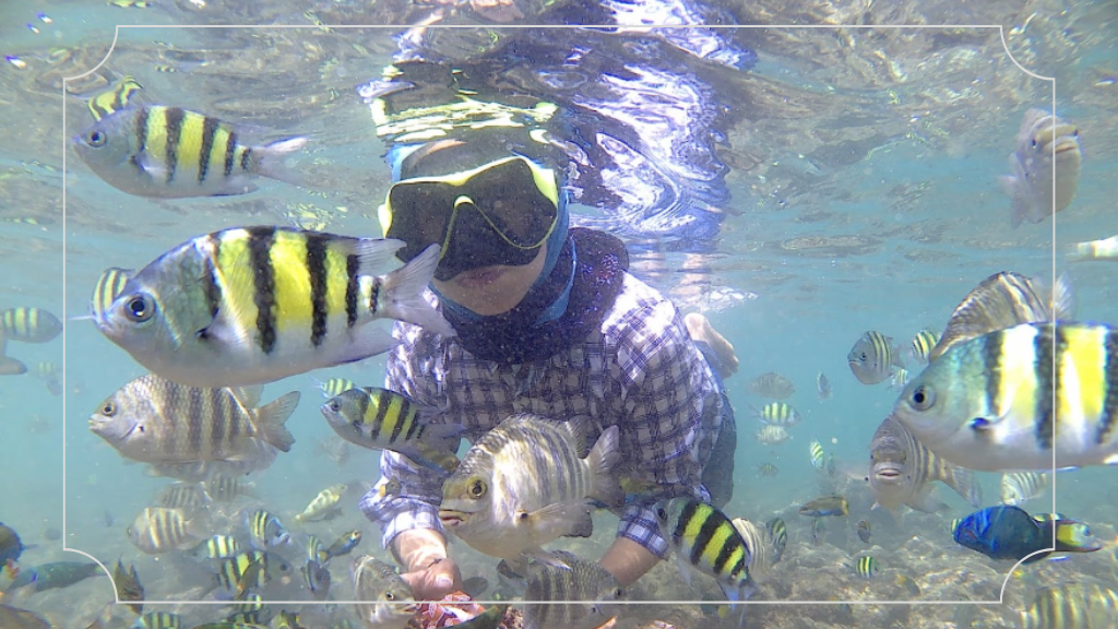 Keindahan Pantai Carocok Sumatera Barat: Wisata Bahari yang Mengagumkan 6 Daya Tarik