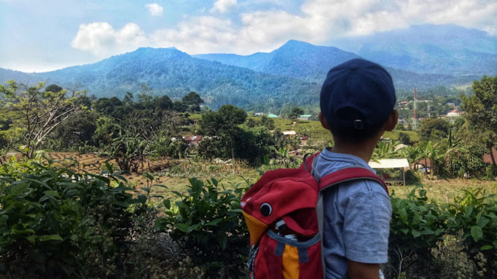 Wonderful Citamiang Puncak Bogor Camping - HTM & Daya Tarik 6 Daya Tarik