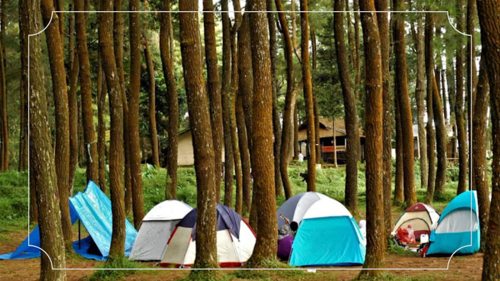 Daya Tarik Camping Ground Gunung Bunder