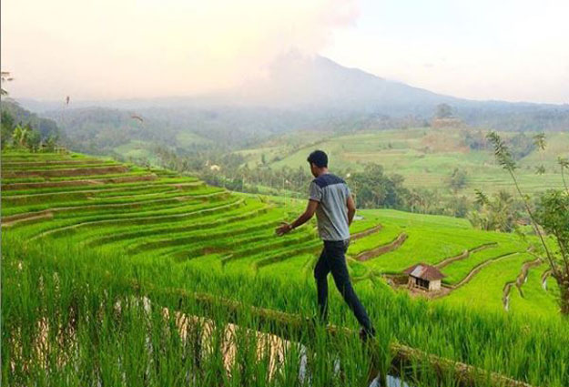 Objek Wisata di Jembrana Bali