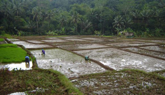 18 Tempat wisata di Ciamis Terbaru 9 tempat wisata keluarga di Ciamis