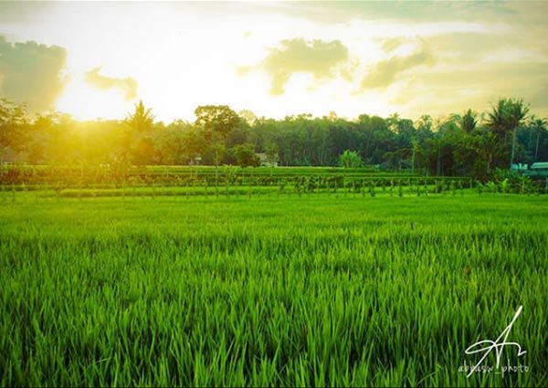 17 Tempat Wisata di Salatiga Terbaru 3 obyek wisata di salatiga jawa tengah