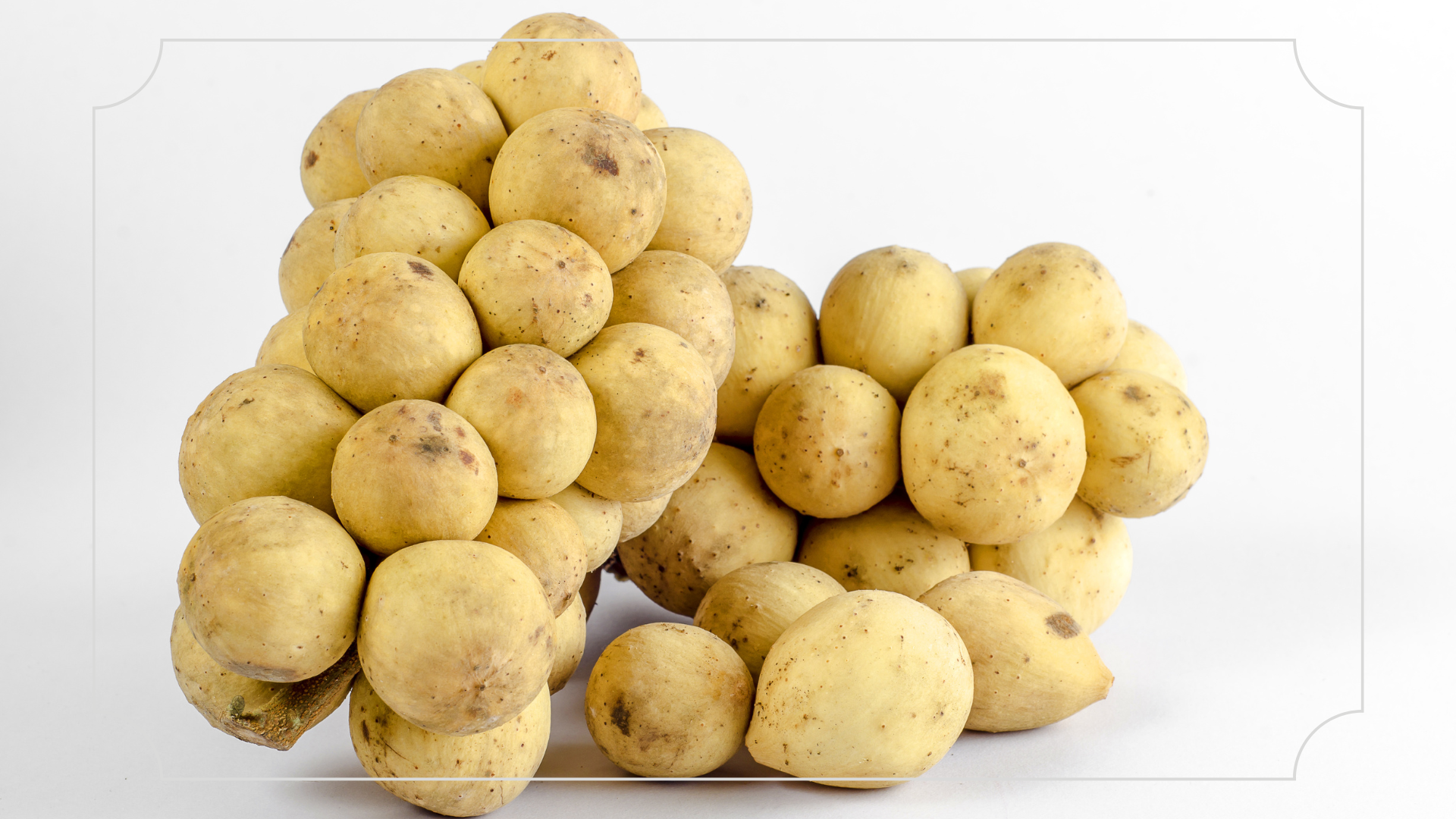 Oleh-Oleh Khas Jambi Duku Kumpeh