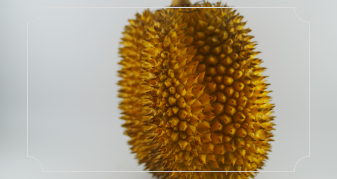 15 Oleh-Oleh Khas Banyuwangi Menjelajahi Kelezatan dan Keunikan Souvenir Daerah 2 Oleh-Oleh Khas Banyuwangi Durian Merah