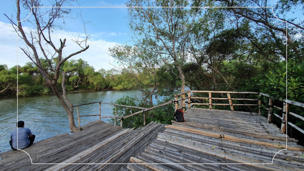 12 Wisata Alam di Surabaya untuk Pengalaman Luar Biasa! 2 Ekowisata Mangrove Wonorejo