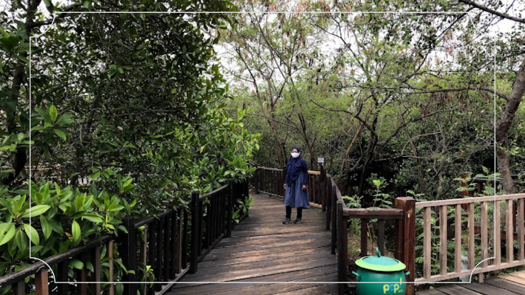 Ekowisata Mangrove Wonorejo