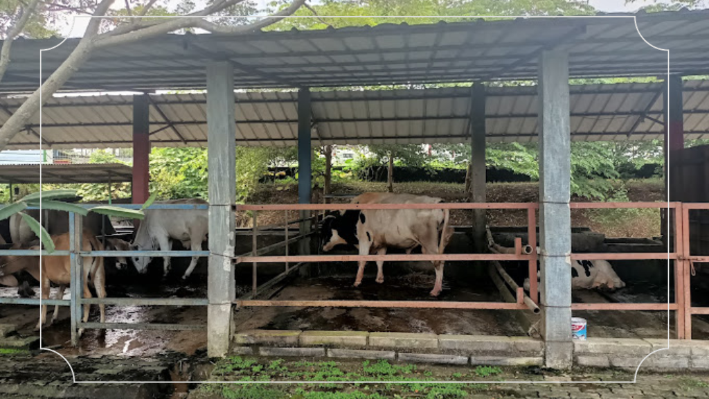 Telaga Pelangi Parung Panjang - Daya Tarik, Fasilitas & Jam Operasional 5 Fasilitas