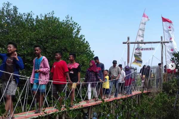 Fasilitas Hutan Mangrove Demak