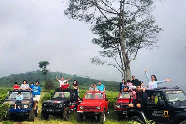 Fasilitas Kebun Teh Kemuning