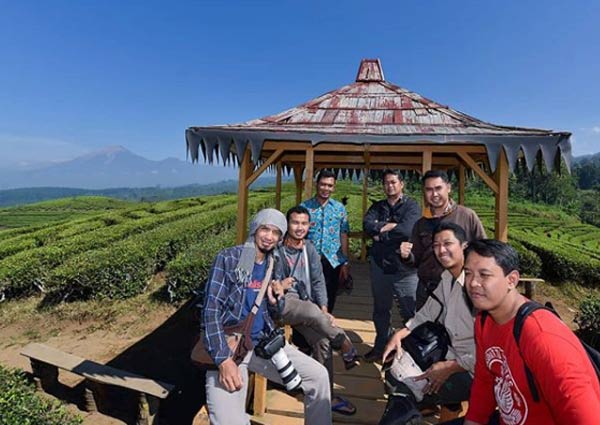 Fasilitas di Kebun Teh Kertowono