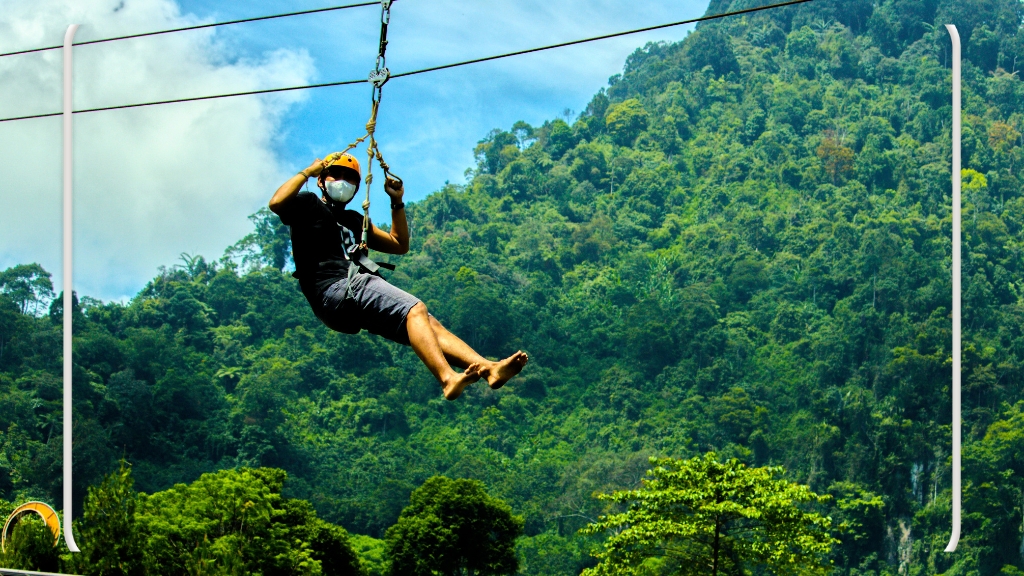 Flying Fox
