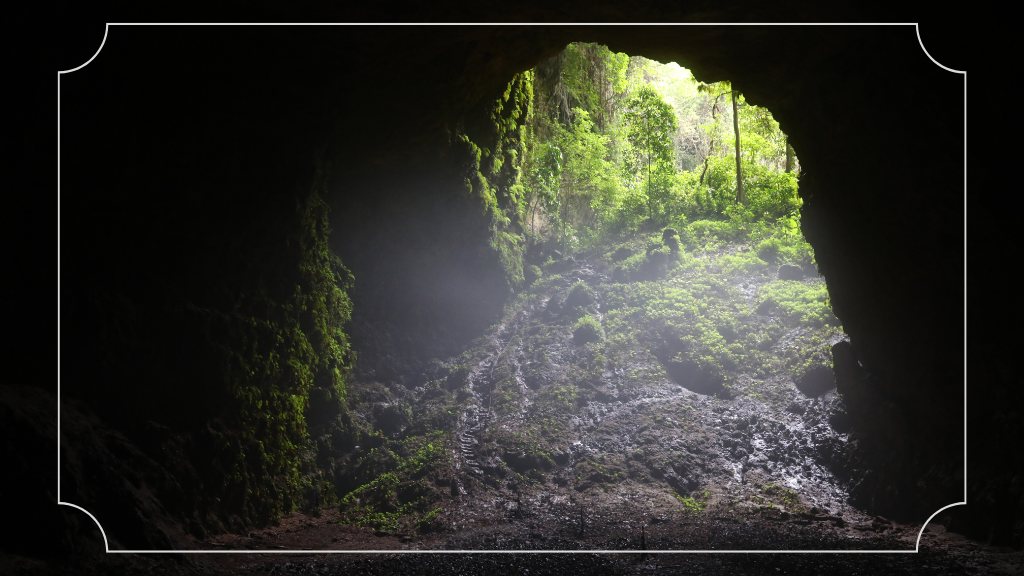 21 Wisata Alam di Jogja, Eksplorasi Keindahan Alami Yogyakarta 5 Goa Jomblang