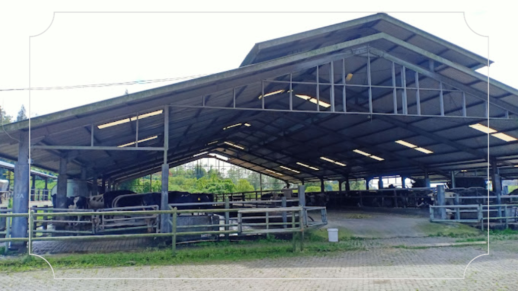 11 Tempat Wisata di Berastagi Terbaru yang Menarik Perhatian 5 Gundaling Farmstead