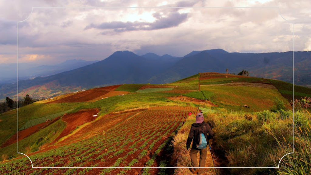 11 Wisata Pangalengan yang Lagi Hits Wajib Kamu Kunjungi 10 Gunung Artapela