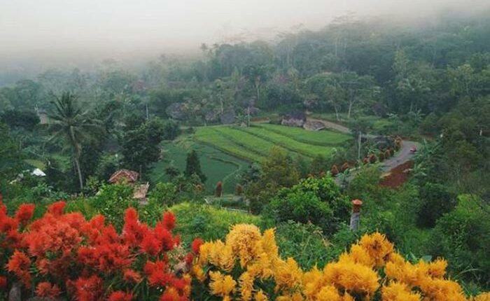 Tempat Wisata di Gunung Kidul