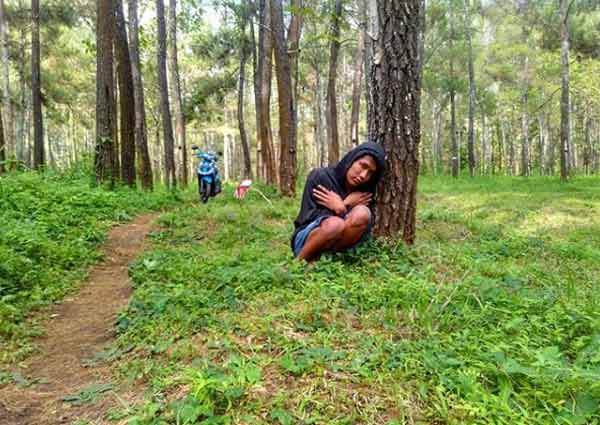 Harga Tiket  Cagar Alam Danalaya