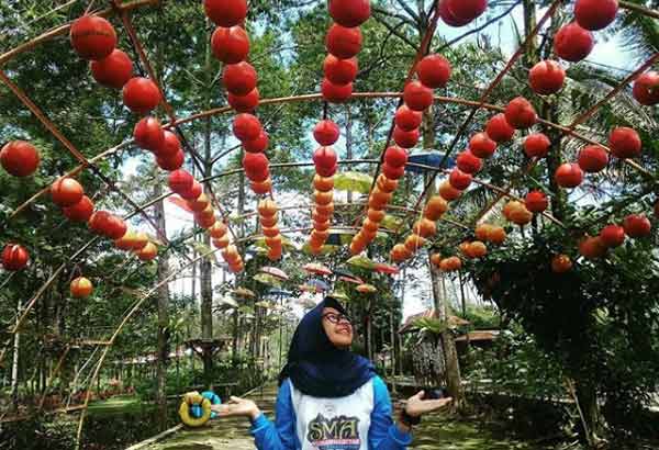 Harga Tiket Masuk Agrowisata Tanjungsari