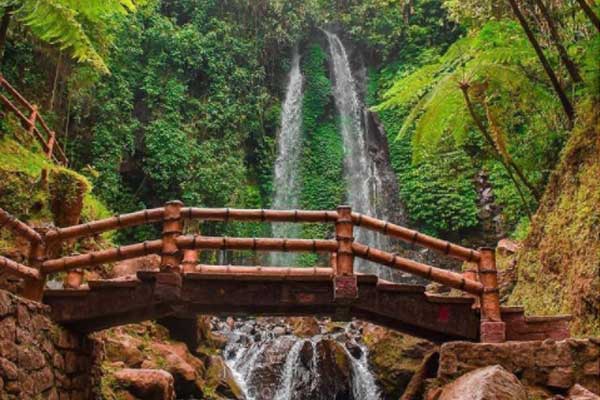Harga Tiket Masuk Air Terjun Jumog