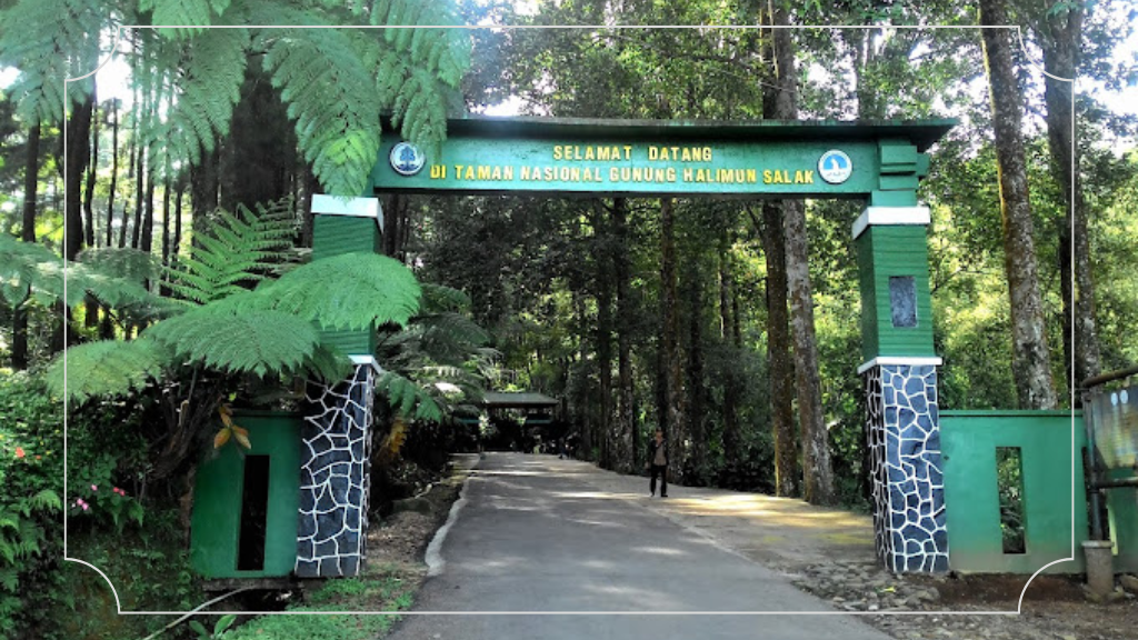 Harga Tiket Masuk Gunung Bunder