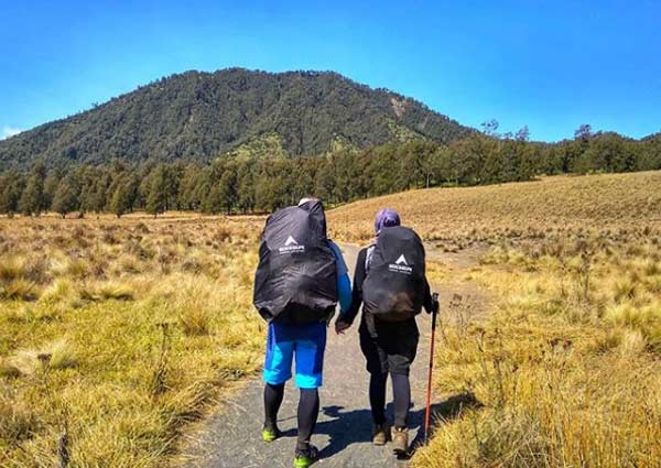Menikmati Spot Wisata Gunung Semeru dan Puncak Mahameru 3 Harga Tiket Masuk Gunung Semeru