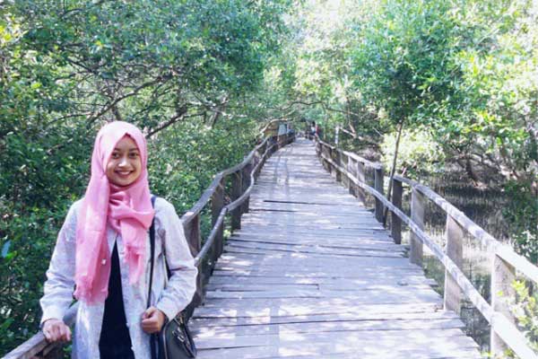 Harga Tiket Masuk Hutan Mangrove Demak