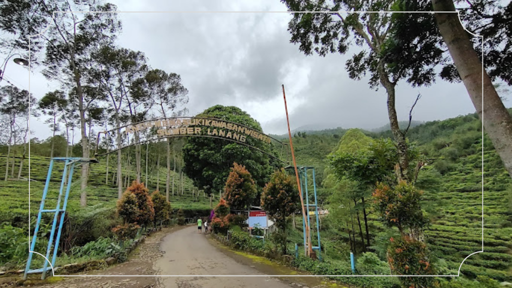 Kebun Teh Jamus Ngawi: HTM, Fasilitas & Daya Tarik 2 Harga Tiket Masuk Kebun Teh Jamus Ngawi
