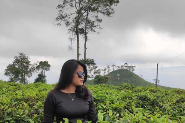 Harga Tiket Masuk Kebun Teh Kemuning