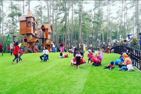 Harga Tiket Masuk Kemit Forest