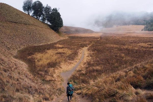 Harga Tiket Masuk Oro Oro Ombo