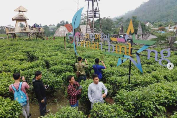 Harga Tiket Masuk Taman Bintang