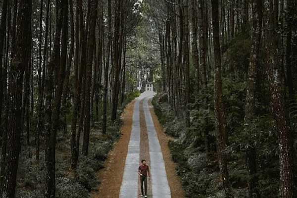 Harga Tiket Masuk Top Selfie Kragilan