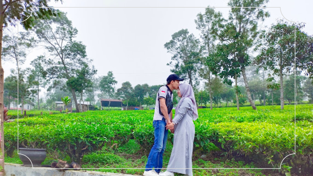 Kebun Teh Tambi Wonosobo - Rute Perjalanan, Daya Tarik & Harga Tiket Masuk 3 Harga Tiket Masuk dan Jam Opersional