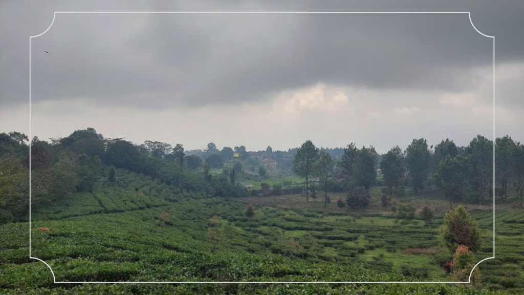 Healing, Menikmati Suasana Damai