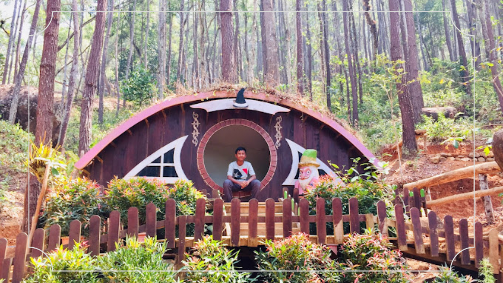 Wisata di Bantul yang Tersembunyi Wajib Kamu Kunjungi 6 Hutan Pinus Mangunan