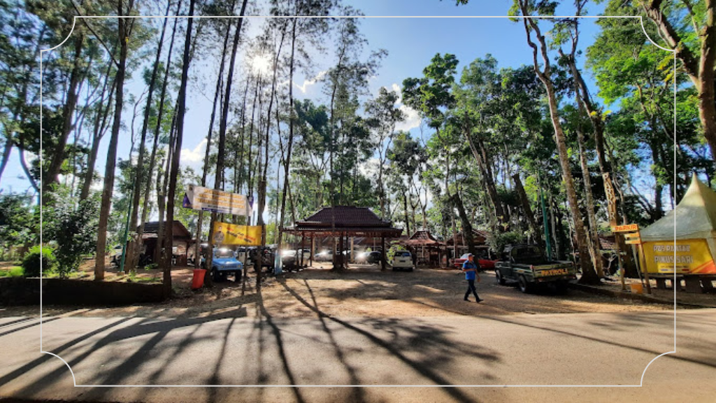 21 Wisata Alam di Jogja, Eksplorasi Keindahan Alami Yogyakarta 4 Hutan Pinus Mangunan