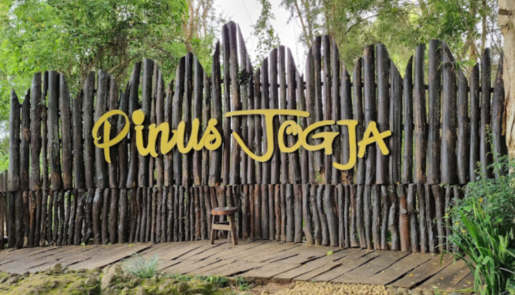 Hutan Pinus Mangunan Dlingo