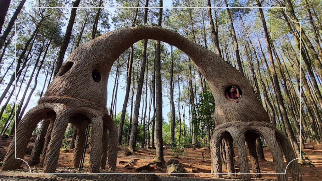 21 Wisata Alam di Jogja, Eksplorasi Keindahan Alami Yogyakarta 15 Hutan Pinus Pengger